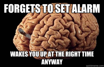 Forgets to set alarm Wakes you up at the right time anyway  Good Guy Brain