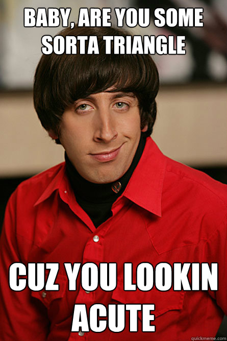 Baby, are you some sorta triangle Cuz you lookin acute  Pickup Line Scientist