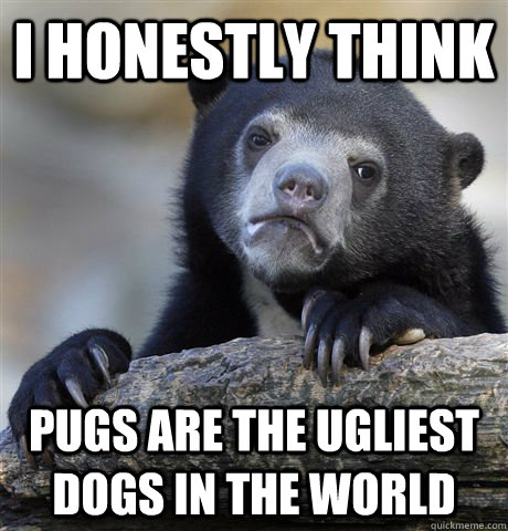 I honestly think Pugs are the ugliest dogs in the world  Confession Bear