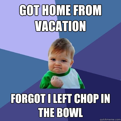 got home from vacation forgot i left chop in the bowl  Success Kid