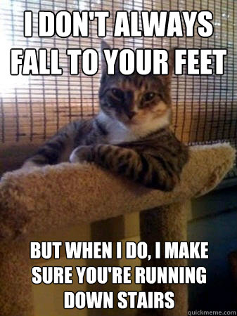 I don't always fall to your feet but when i do, i make sure you're running down stairs  The Most Interesting Cat in the World