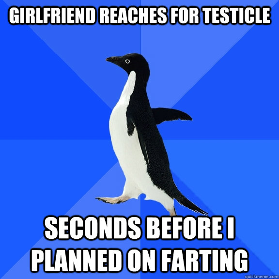 Girlfriend reaches for testicle Seconds before I planned on farting  Socially Awkward Penguin