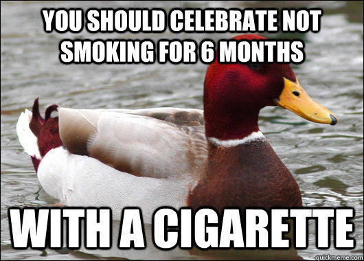 you should celebrate not smoking for 6 months with a cigarette  Malicious Advice Mallard
