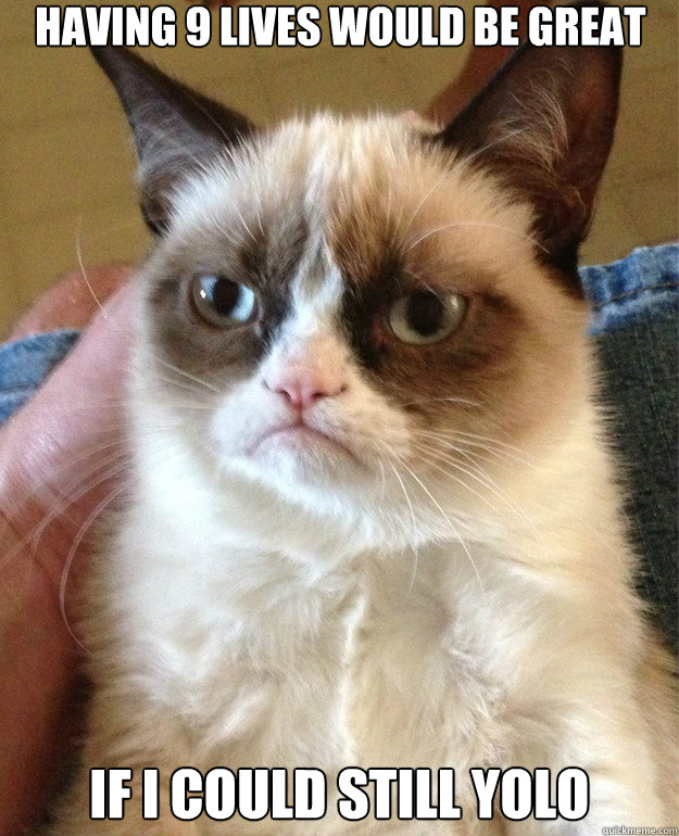 having 9 lives would be great If I could still YOLO Caption 3 goes here Caption 4 goes here  Grumpy Cat