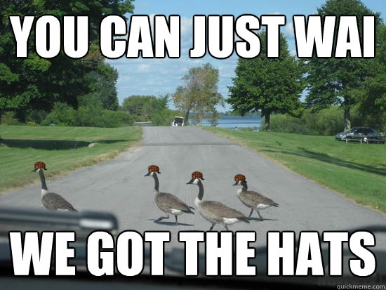 You can just wai we got the hats  Scumbag Geese