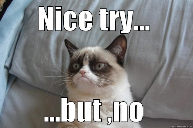 NICE TRY... ...BUT ,NO Grumpy Cat