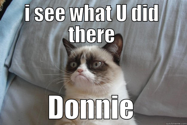 I SEE WHAT U DID THERE DONNIE Grumpy Cat