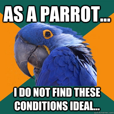 As a parrot... I do not find these conditions ideal...  Paranoid Parrot