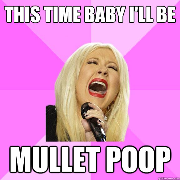 This time baby I'll be Mullet Poop  Wrong Lyrics Christina