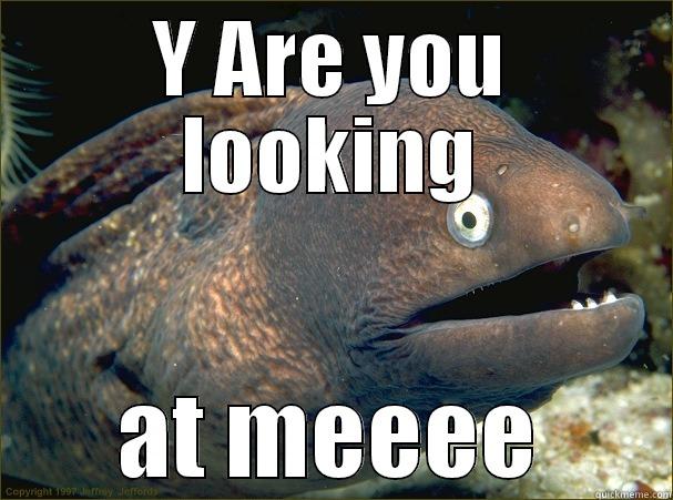 Trolls Be like - Y ARE YOU LOOKING AT MEEEE Bad Joke Eel