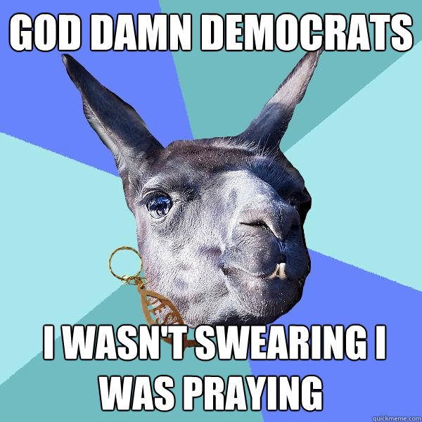 god damn democrats  I wasn't swearing I was praying  Christian Mama Llama