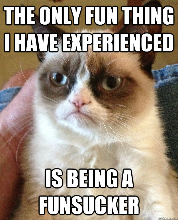 The only fun thing I have experienced is being a funsucker  Grumpy Cat