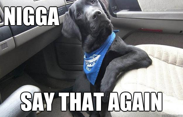 Nigga Say that again - Nigga Say that again  Say What Dog