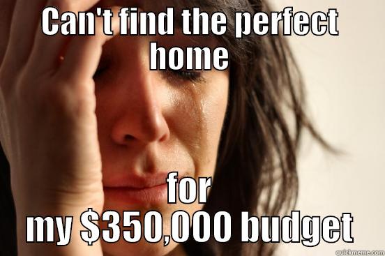 CAN'T FIND THE PERFECT HOME FOR MY $350,000 BUDGET First World Problems