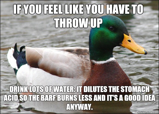 If you feel like you have to throw up Drink lots of water: it dilutes the stomach acid so the barf burns less and it's a good idea anyway.  Actual Advice Mallard