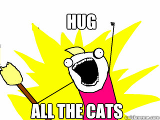 HUG ALL THE CATS  All The Things