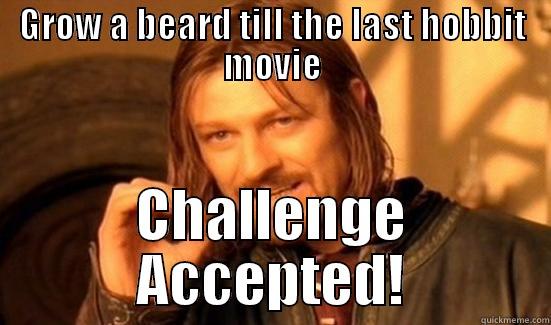 GROW A BEARD TILL THE LAST HOBBIT MOVIE CHALLENGE ACCEPTED! Boromir