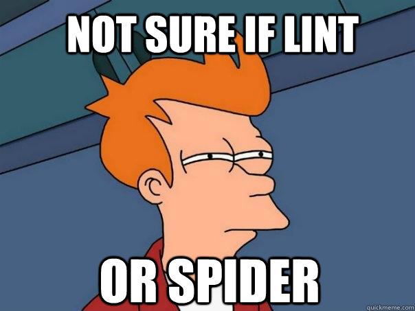 Not sure if lint or spider  Futurama Fry