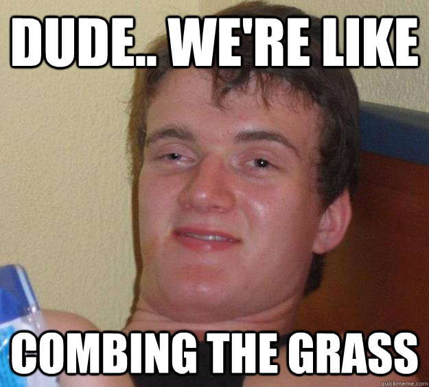 Dude.. we're like  Combing the Grass  10 Guy