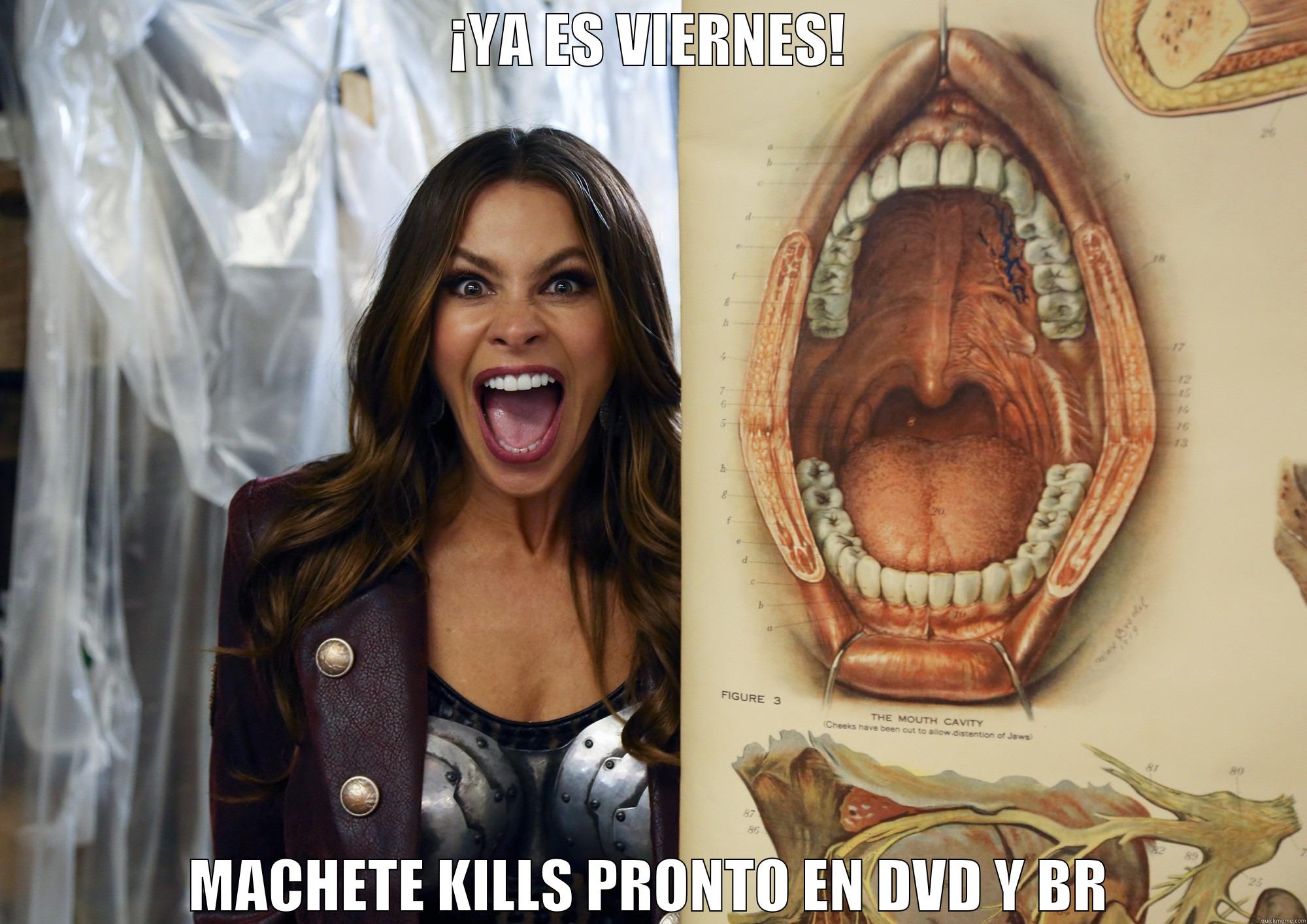 ¡YA ES VIERNES! MACHETE KILLS PRONTO EN DVD Y BR Misc