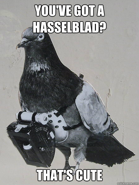 You've got a hasselblad? that's cute  