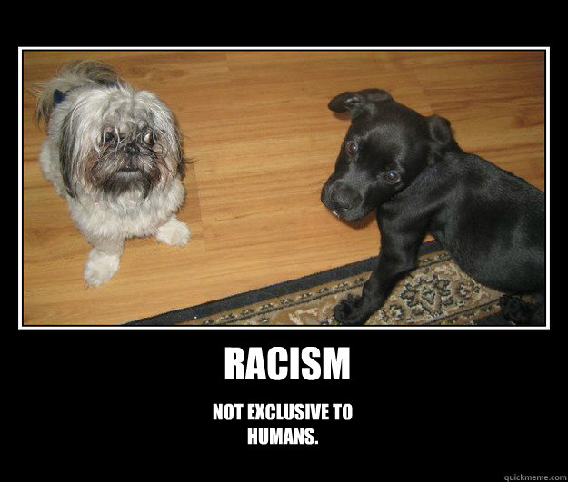 Racism Not exclusive to humans. - Racism Not exclusive to humans.  Racism Dog