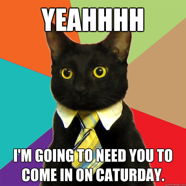 yeahhhh I'm going to need you to come in on caturday. - yeahhhh I'm going to need you to come in on caturday.  Business Cat