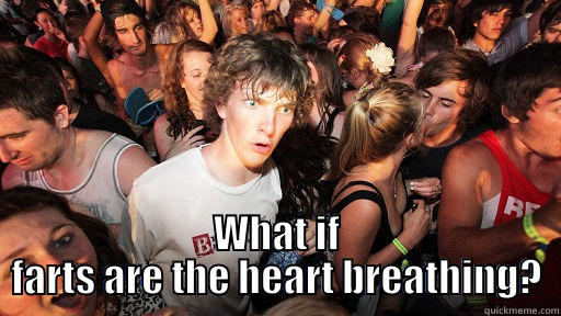  WHAT IF FARTS ARE THE HEART BREATHING? Sudden Clarity Clarence