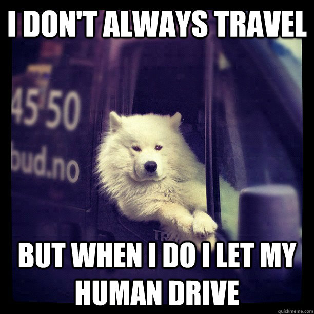 I don't always travel but when i do i let my human drive - I don't always travel but when i do i let my human drive  Most Interesting Dog