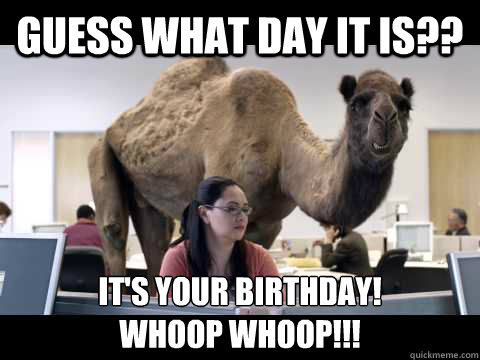 guess what day it is?? It's your birthday!
Whoop Whoop!!! - guess what day it is?? It's your birthday!
Whoop Whoop!!!  Hump Day Camel