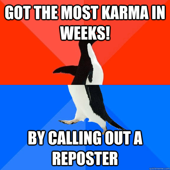 Got the most karma in weeks! By calling out a reposter  Socially Awesome Awkward Penguin
