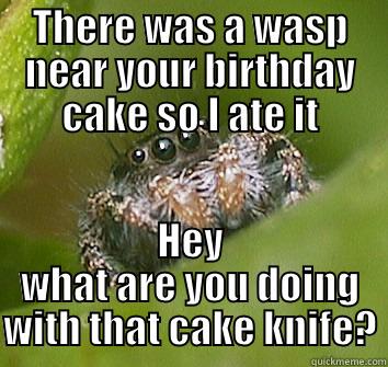 THERE WAS A WASP NEAR YOUR BIRTHDAY CAKE SO I ATE IT HEY WHAT ARE YOU DOING WITH THAT CAKE KNIFE? Misunderstood Spider