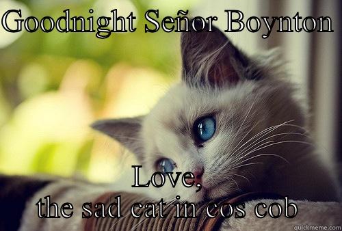GOODNIGHT SEÑOR BOYNTON  LOVE, THE SAD CAT IN COS COB First World Problems Cat
