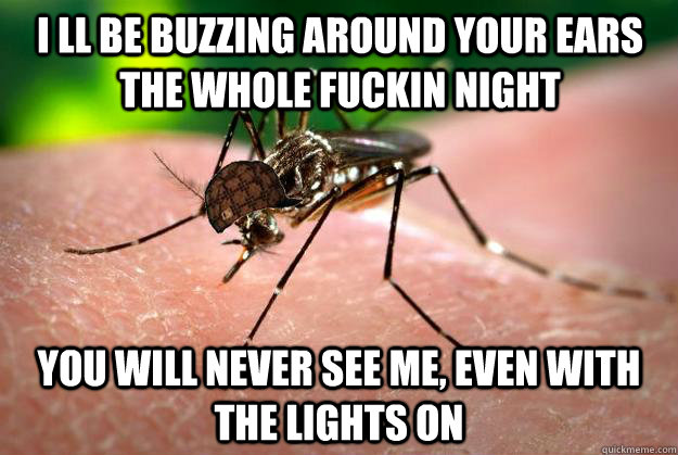 I ll be buzzing around your ears the whole fuckin night you will never see me, even with the lights on - I ll be buzzing around your ears the whole fuckin night you will never see me, even with the lights on  Misc