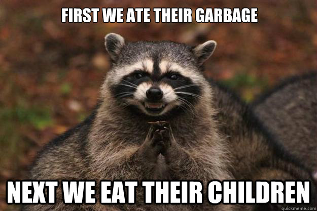 First we ate their garbage  next we eat their children  Evil Plotting Raccoon