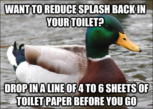 Want to reduce splash back in your toilet? drop in a line of 4 to 6 sheets of toilet paper before you go - Want to reduce splash back in your toilet? drop in a line of 4 to 6 sheets of toilet paper before you go  Actual Advice Mallard