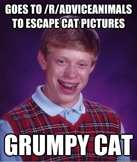 goes to /r/adviceanimals to escape cat pictures grumpy cat  Bad Luck Brian