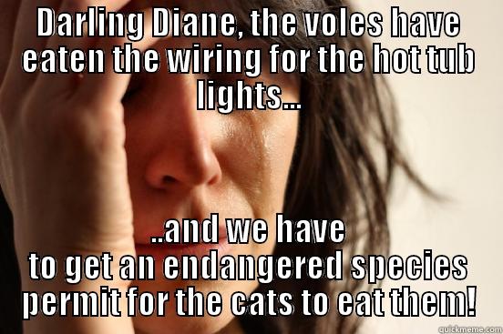 DARLING DIANE, THE VOLES HAVE EATEN THE WIRING FOR THE HOT TUB LIGHTS... ..AND WE HAVE TO GET AN ENDANGERED SPECIES PERMIT FOR THE CATS TO EAT THEM! First World Problems