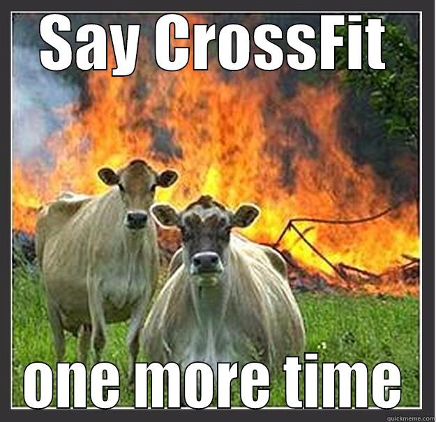SAY CROSSFIT ONE MORE TIME Evil cows