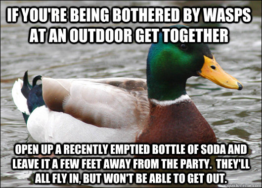 If you're being bothered by wasps at an outdoor get together Open up a recently emptied bottle of soda and leave it a few feet away from the party.  They'll all fly in, but won't be able to get out.  Actual Advice Mallard