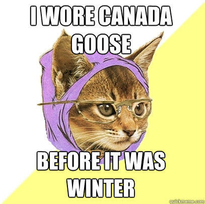 I wore canada goose before it was winter  Hipster Kitty