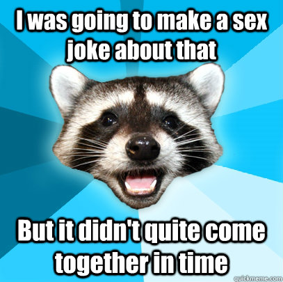 I was going to make a sex joke about that But it didn't quite come together in time  Lame Pun Coon