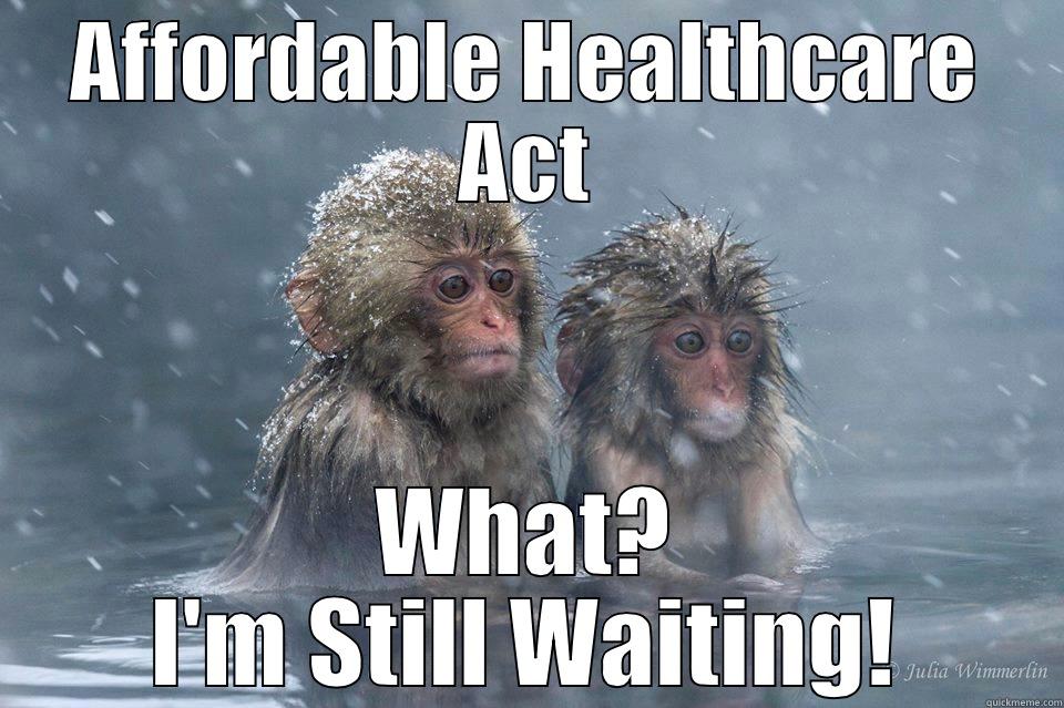 AFFORDABLE HEALTHCARE ACT WHAT? I'M STILL WAITING! Misc