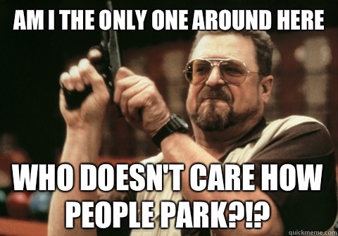 Am I the only one around here who doesn't care how people park?!? - Am I the only one around here who doesn't care how people park?!?  Am I the only one