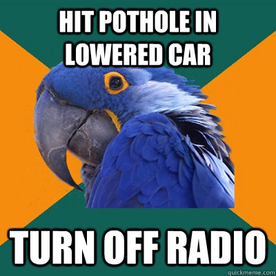 hit pothole in lowered car turn off radio  Paranoid Parrot