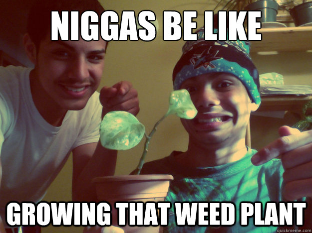 NIGGAS BE LIKE GROWING THAT WEED PLANT  