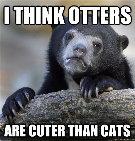 I think otters are cuter than cats  Confession Bear