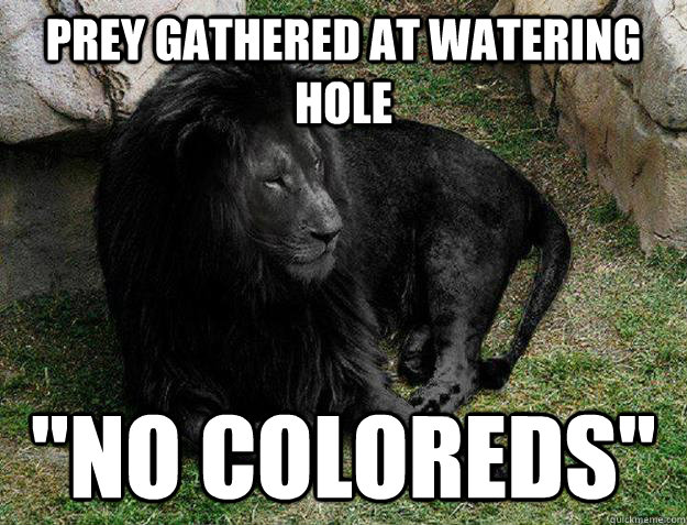 Prey gathered at watering hole 
