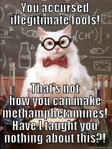 YOU ACCURSED ILLEGITIMATE FOOLS! THAT'S NOT HOW YOU CAN MAKE METHAMPHETAMINES! HAVE I TAUGHT YOU NOTHING ABOUT THIS?! Chemistry Cat