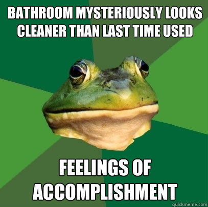 bathroom mysteriously looks cleaner than last time used  feelings of accomplishment  Foul Bachelor Frog